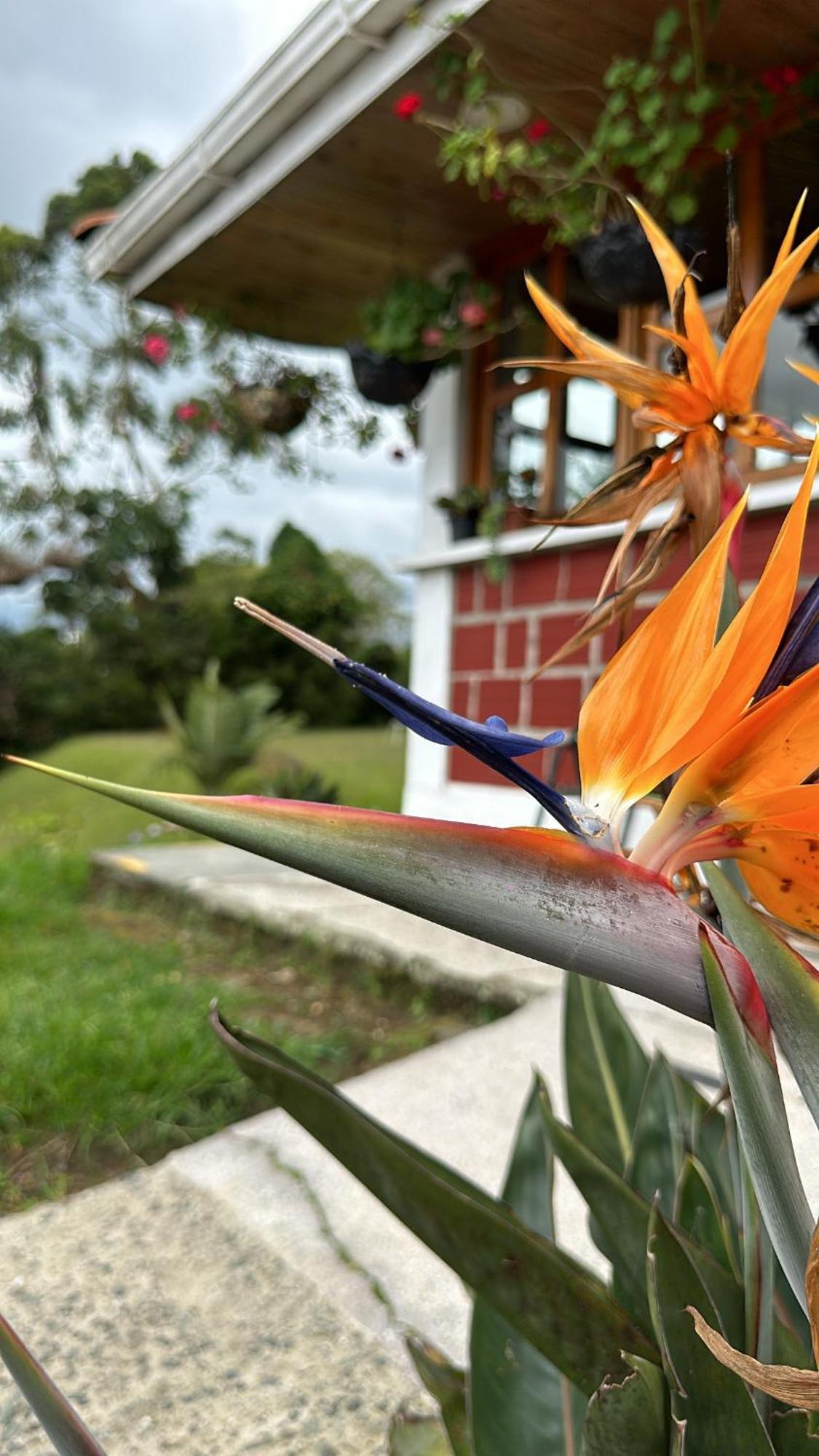 Finca La Toscana Эль-Мансано Экстерьер фото